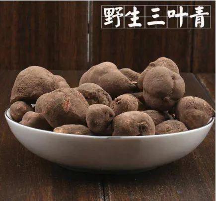 野生三葉青多糖的分離和含量測(cè)定