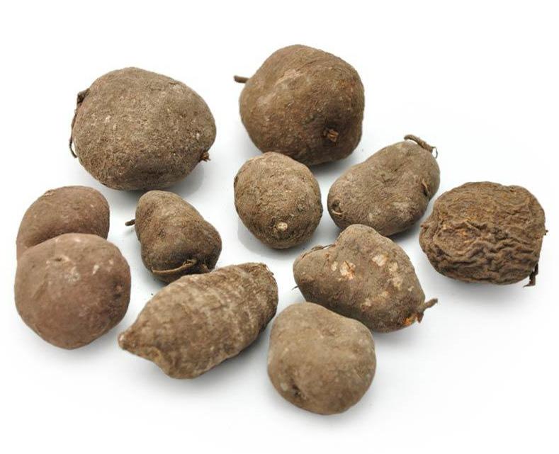 曬干的金線吊葫蘆塊狀根圖片