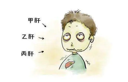 三葉青的功效針對慢性肝損傷的實驗研究
