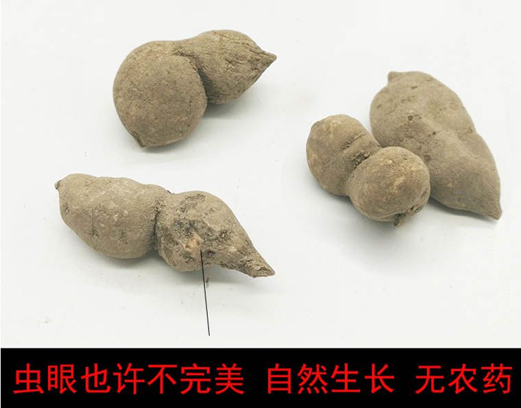 個(gè)別野生三葉青不完美